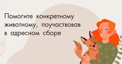 Администрация Октябрьского района г.Могилева - Могилевский областной  комитет ОО «БРСМ» проводит акцию в помощь бездомным животным