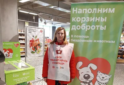 Похвастайся своим питомцем и помоги бездомным животным! - Новотроицк:  Ntsk.ru