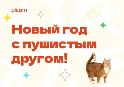 Фонд \"Помощь бездомным собакам\" - приют для собак и кошек в Санкт-Петербурге