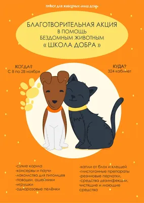 Благотворительная акция в помощь бездомным животным “Школа добра” –  Многопрофильный лицей № 148 города Челябинска