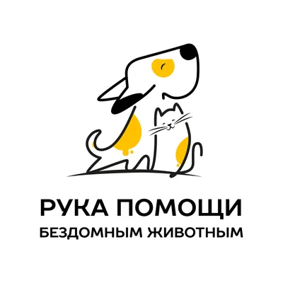 Простые способы помощи бездомным животным | ГТРК «Курск» - Новости Курска и  Курской области | 23940