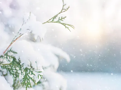 Зима наступает: снег и гололед ожидаются в Беларуси в понедельник -  19.11.2023, Sputnik Беларусь