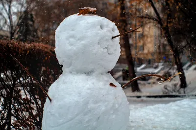 Прогноз погоды в Комсомольске-на-Амуре на понедельник, 1 января — Новости  Хабаровска