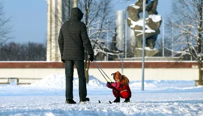 В понедельник в Кузбассе будет снежно и похолодает до -13 градусов - KP.RU