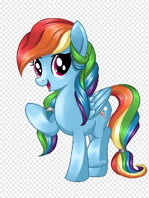 My Little Pony Mane Pony Rainbow Dash Classic Figure - My Little Pony