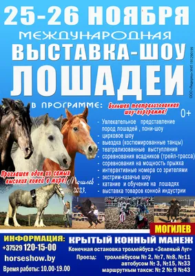 Все новости по теме разведение породистых лошадей - ГТРК Чувашия