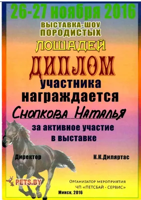 Мультимедиа/ Международная выставка-шоу породистых лошадей \"Осень-2023\"  открылась в Минске_Russian.news.cn