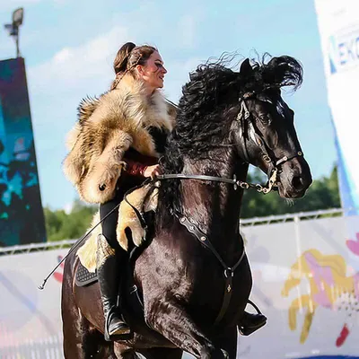 ФОТОФАКТ: Выставка-шоу лошадей \"Осень-2023\" проходит в Минске