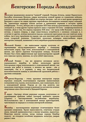 К работе приступил второй племзавод по разведению якутской породы лошадей –  Отраслевой портал Аграрная наука, журнал сельское хозяйство России