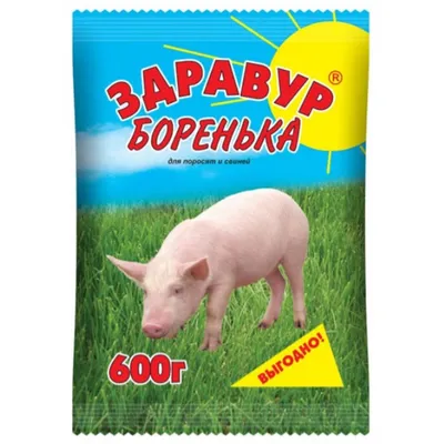 О чем говорят свиньи: ученые научились понимать язык поросят | Своё  Фермерство: всё об агробизнесе и фермерстве | Дзен