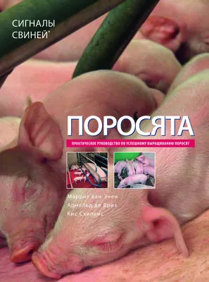 Кормовая добавка крепковит для поросят и свиней 900 гр - купить с доставкой  по выгодным ценам в интернет-магазине OZON (829312425)