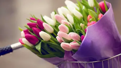 Утро после 8 марта...🖤🌸 . #mood🖤 . . #8ofmarch #womansday #beauty  #beautyaroundus #interior #homesweethome #flowers #loveflowers #morni… |  Весна, Ирисы, Тюльпаны