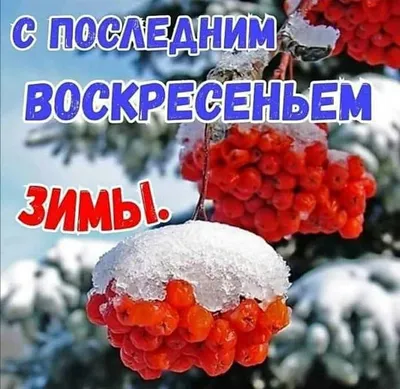 Последний день зимы 2022 – поздравления в прозе – открытки, картинки с  последним днем зимы - ZN.ua