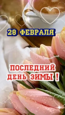 1 февраля – последний день подачи заявлений на ЕГЭ