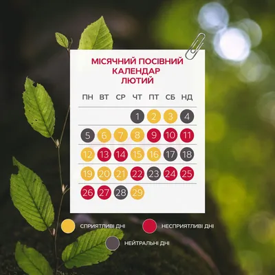 Россиян ждут самые продолжительные выходные после Нового года » «Муравленко  24»
