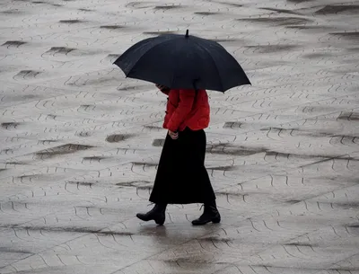 В последний день марта в Пензенской области ожидается дождь