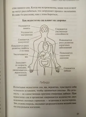 Книга: 1001 оригинальный способ поднять настроение. Книга сюрпризов Купить  за 95.00 руб.