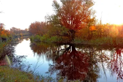 Осенняя поздняя осень фотография карта Фон И картинка для бесплатной  загрузки - Pngtree