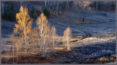 Красота поздней осени | Пикабу