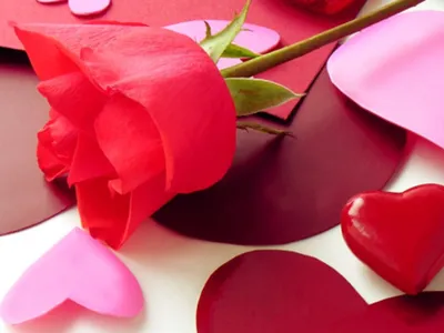 С 14 февраля - поздравления, картинки и пожелания в День святого Валентина  - Все праздники и поздравления | Сегодня