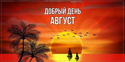 Август - Лето картинки и открытки