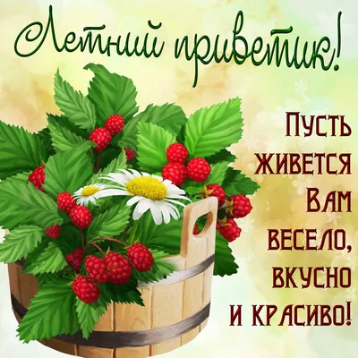 Солнечные новые открытки и душевные поздравления в Яблочный Спас 19 августа