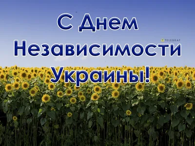 День уважения к родителям 1 августа: улетные открытки и очень добрые  поздравления | Весь Искитим | Дзен