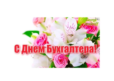 Открытка с Днём Бухгалтера, с букетом красных роз женщине • Аудио от  Путина, голосовые, музыкальные