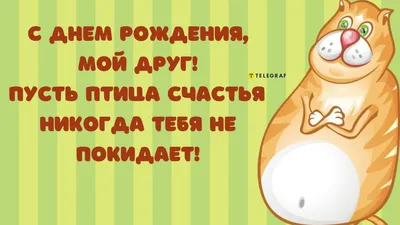 Креативное поздравление с днем рождения другу: необычные пожелания -  Телеграф