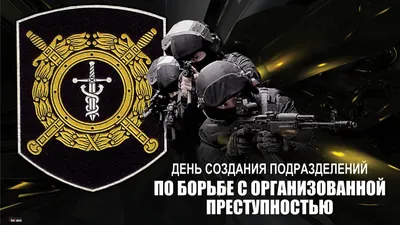 День создания подразделений по борьбе с организованной преступностью в  России | НСБ
