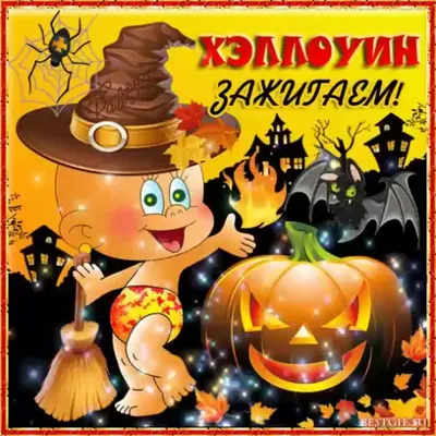 Поздравления на Хэллоуин: прикольные, короткие, в картинках | Бердск-Онлайн  СМИ | Дзен
