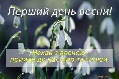 Первый день весны. Приятные поздравления с 1 марта в прозе, стихах и смс
