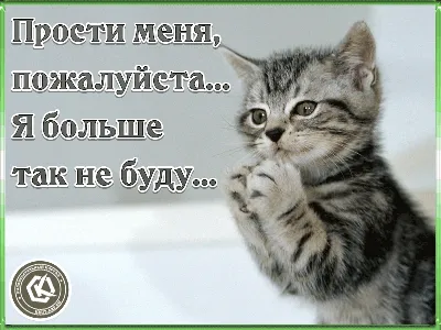 Знай русский! «Пожалуйста» – когда нужны запятые?