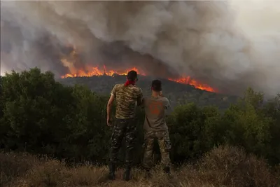 Космические снимки пожара в области Абай передали еще 8 июня
