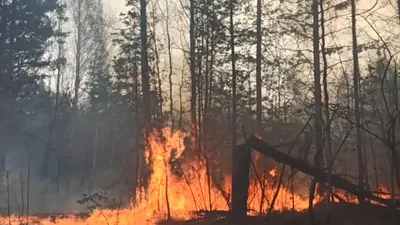 Из-за пожара в Кировском районе Петербурга пришлось эвакуировать 8 человек
