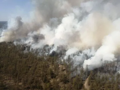 Соцсети: найден виновный пожара в Геленджике, уничтоживший 5 га леса