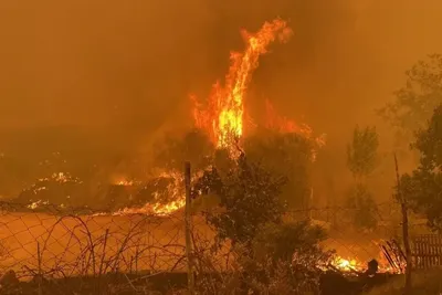 В поселке Свердловской области сгорели два склада из-за лесного пожара — РБК