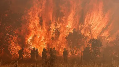 Лесные пожары в Казахстане охватили 43 тысячи гектаров - 04.09.2022,  Sputnik Азербайджан
