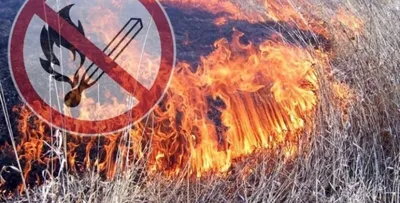 Смоленская газета - 3183 пожара произошло в Смоленской области с начала года