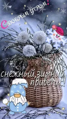 доброго зимнего дня открытки｜Поиск в TikTok