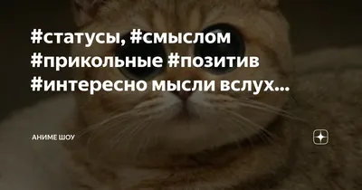 стихи #мудрость #жизнь #статусы #афоризмы #цитатыпрожизнь #высказование # позитив #психология | Instagram