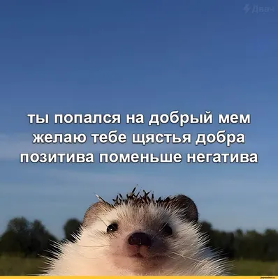 ♥♥♥ ПОЗИТИВ-позитивчик для ДРУЗЕЙ ღღღ | ВКонтакте