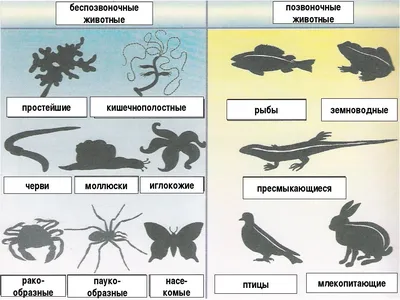 Глава 2. Особенности поведения позвоночных (до приматов)