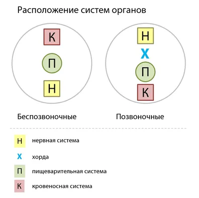 Биология 10 класс: Задание №1