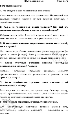 Одно из самых ядовитых позвоночных животных - 🐸 Ужасный листолаз 🐸 |  Vasya Granat 🐌 | Дзен