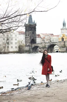 ПОЗНАВАЙ ПУТЕШЕСТВУЯ on Instagram: “Чудесная зима в Праге. Чехия🇨🇿 ⠀  💡Праг… | Beautiful places in the world, World most beautiful place,  Adventure travel explore