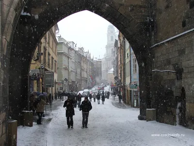Карлов Мост зимой | Прага чешская республика, Каникулы мечты, Туристический  тур