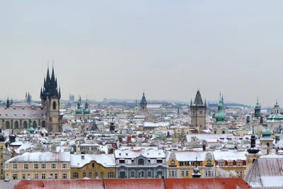 Прага для гурманов: что попробовать в столице Чехии? | meets.com