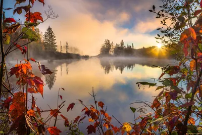 Картинки прекрасного осеннего утра фотографии
