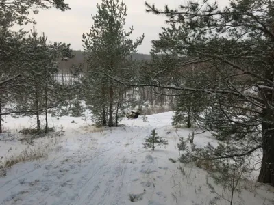 Алёна Рядняная on Instagram: “Чувствуется приближение весны 🌸 В воздухе  легкость и вдохновение 🤩 чтобы такое сотворить, чтобы не было так р… |  Весна, Чувства, Али